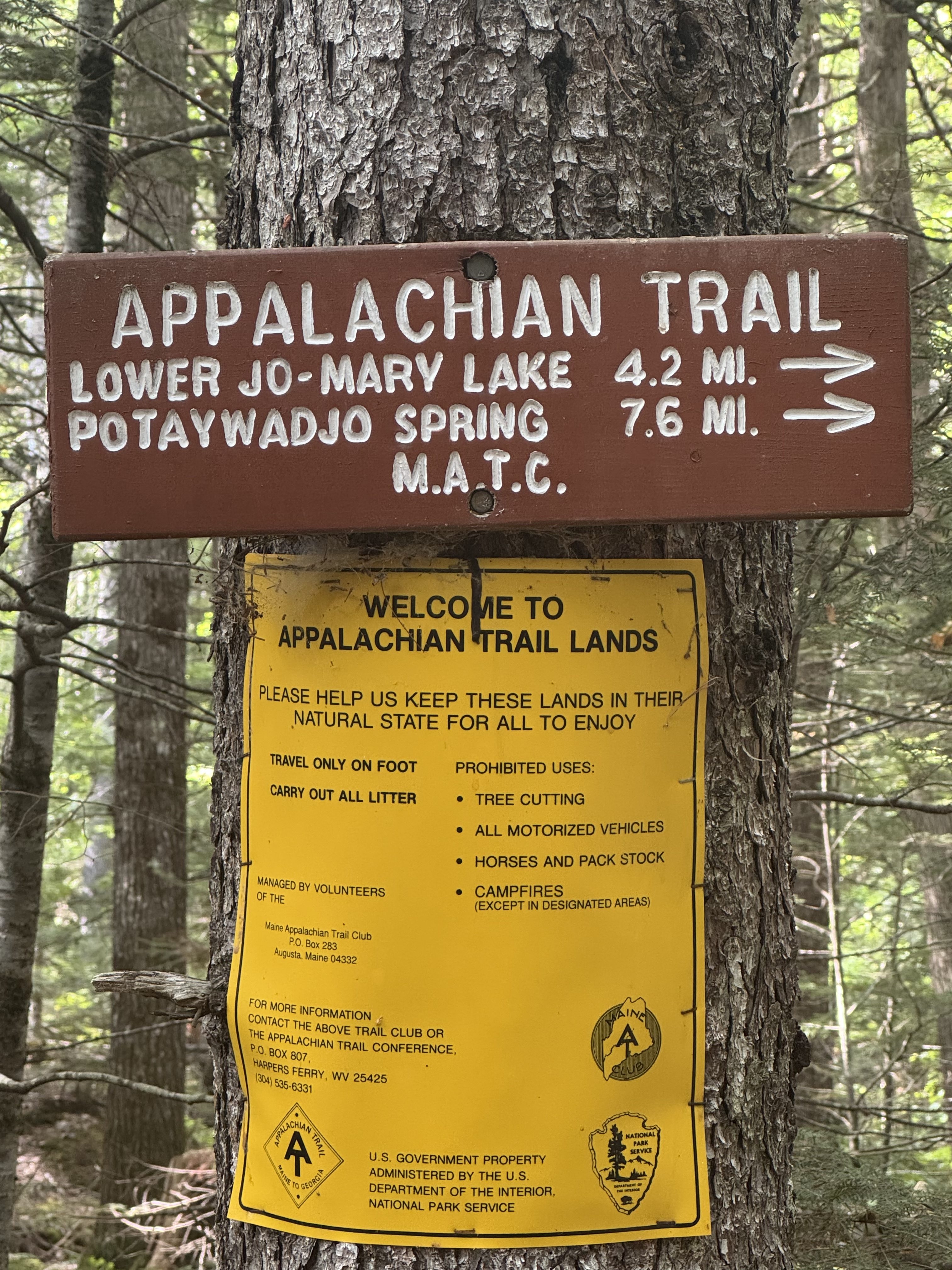 Day 14 – Logan Brook Lean-To to Antlers Campsite