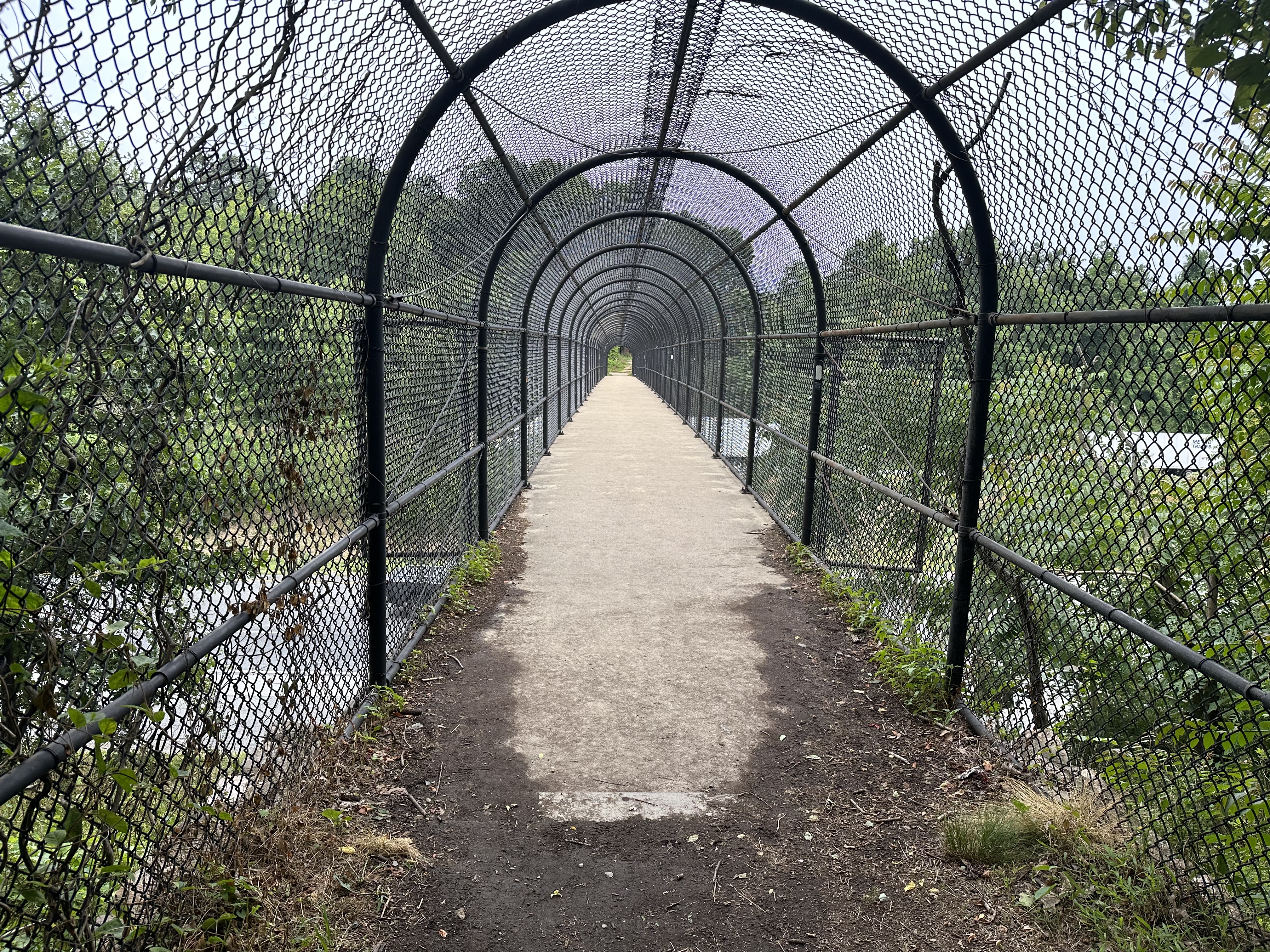 Day 2 – Crampton Gap to Pine Knob Shelter