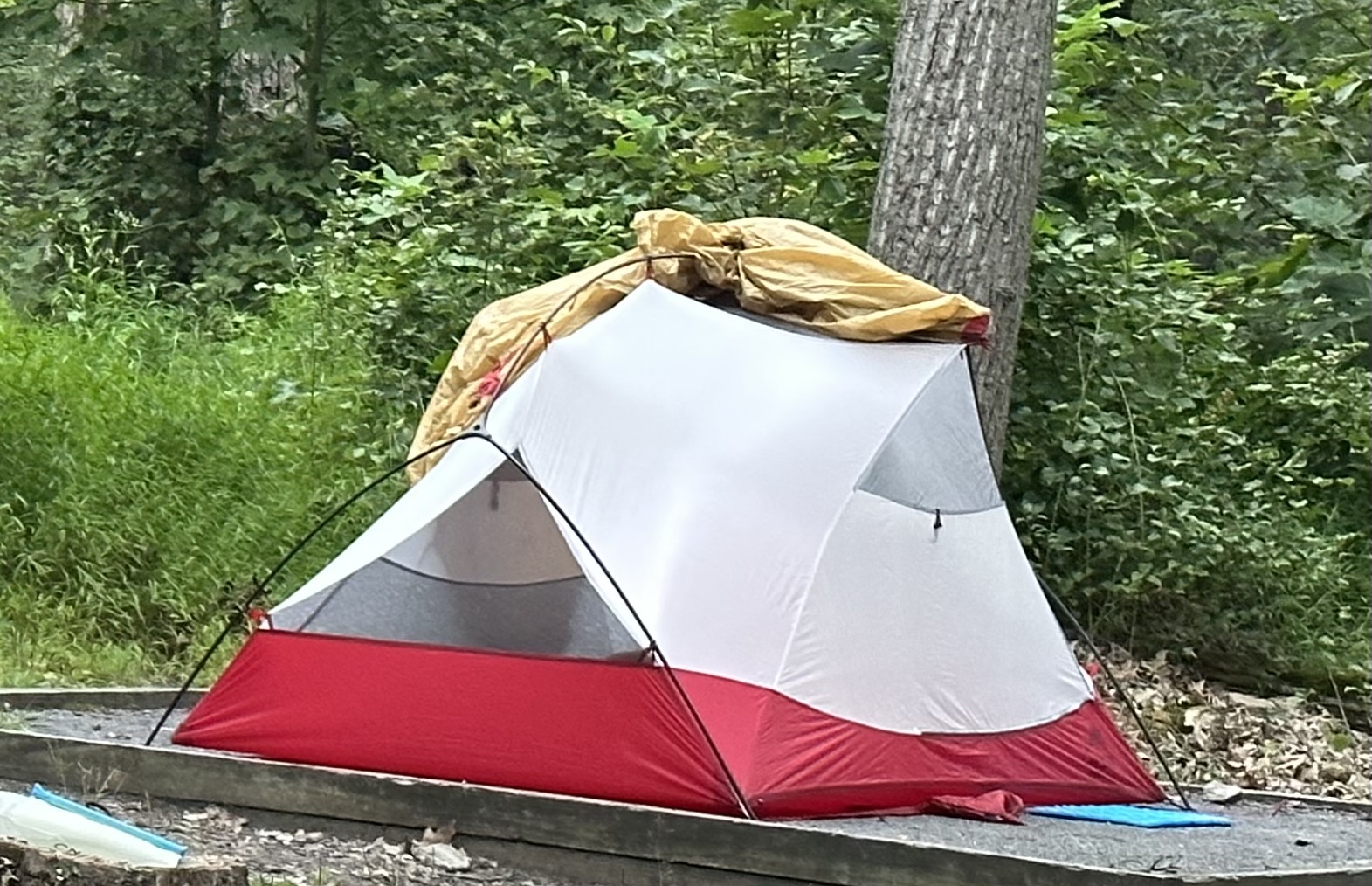 Day 3 – Quarry Gap Shelter to Tom’s Run Shelter