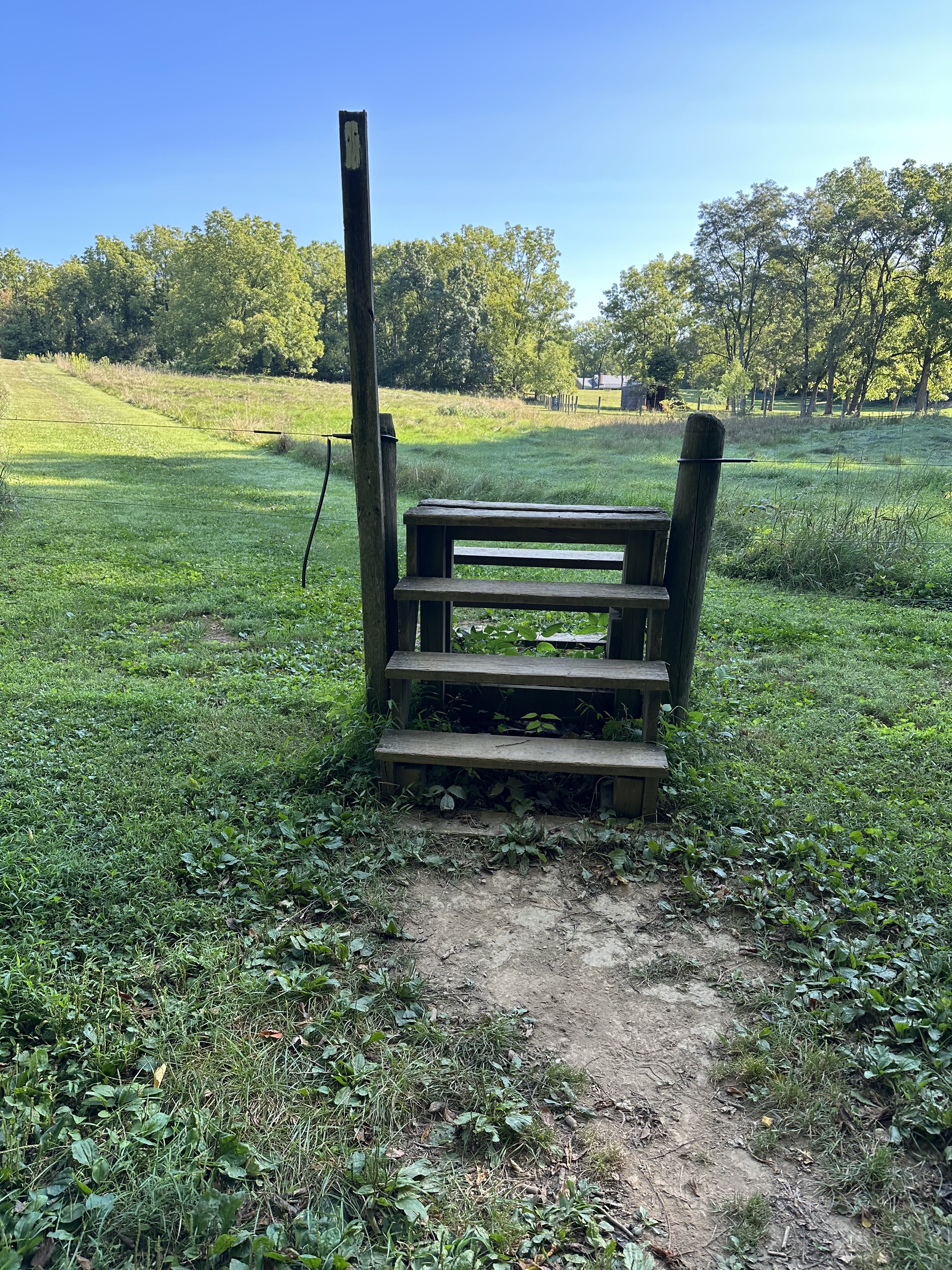 Day 6 – Boiling Springs to Darlington Shelter