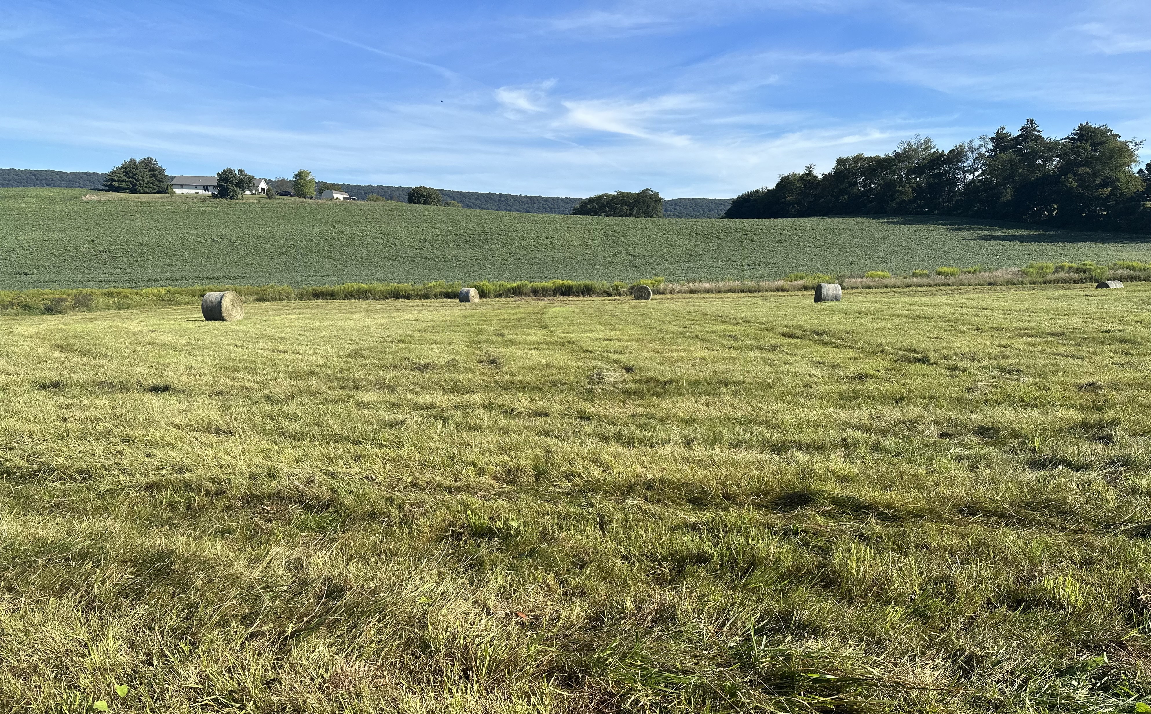 Day 7 – Darlington Shelter to PA 850