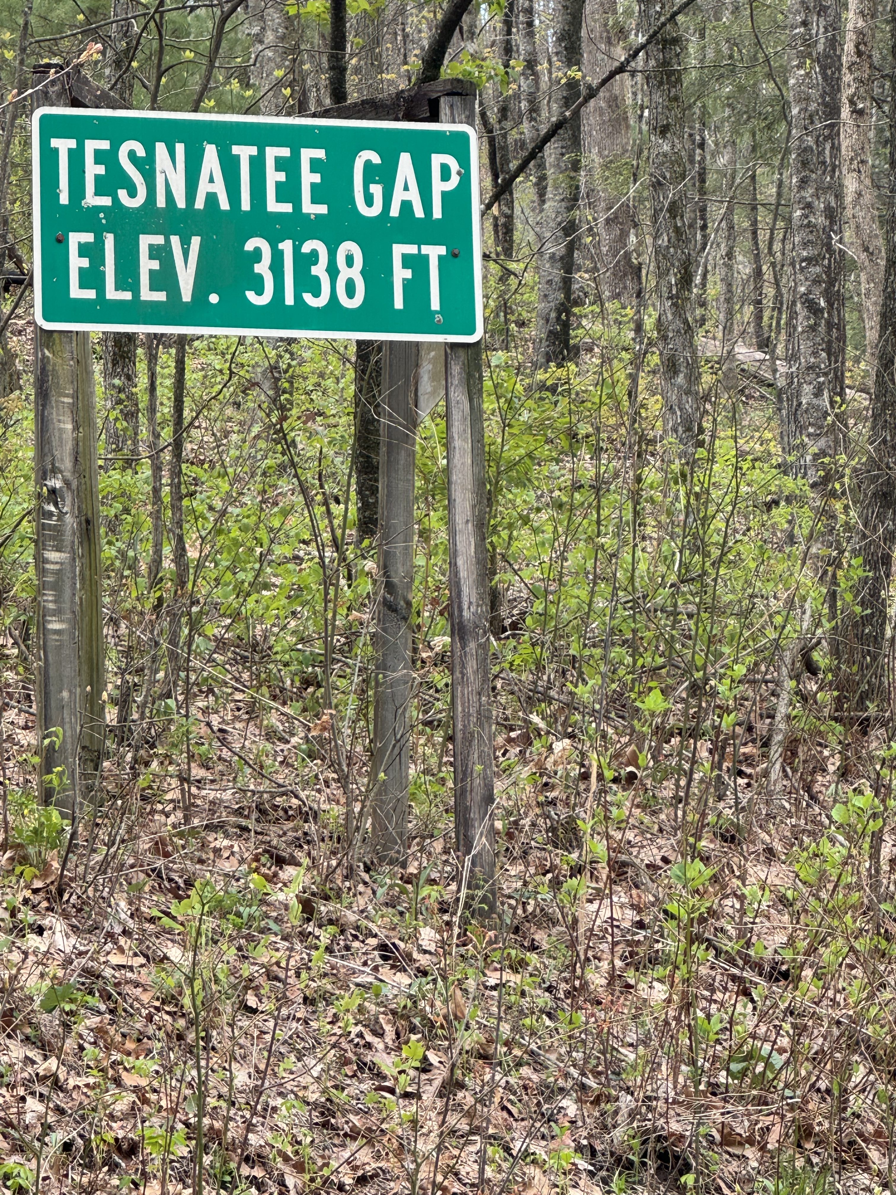 Day 6 – Neel Gap to Low Gap Shelter