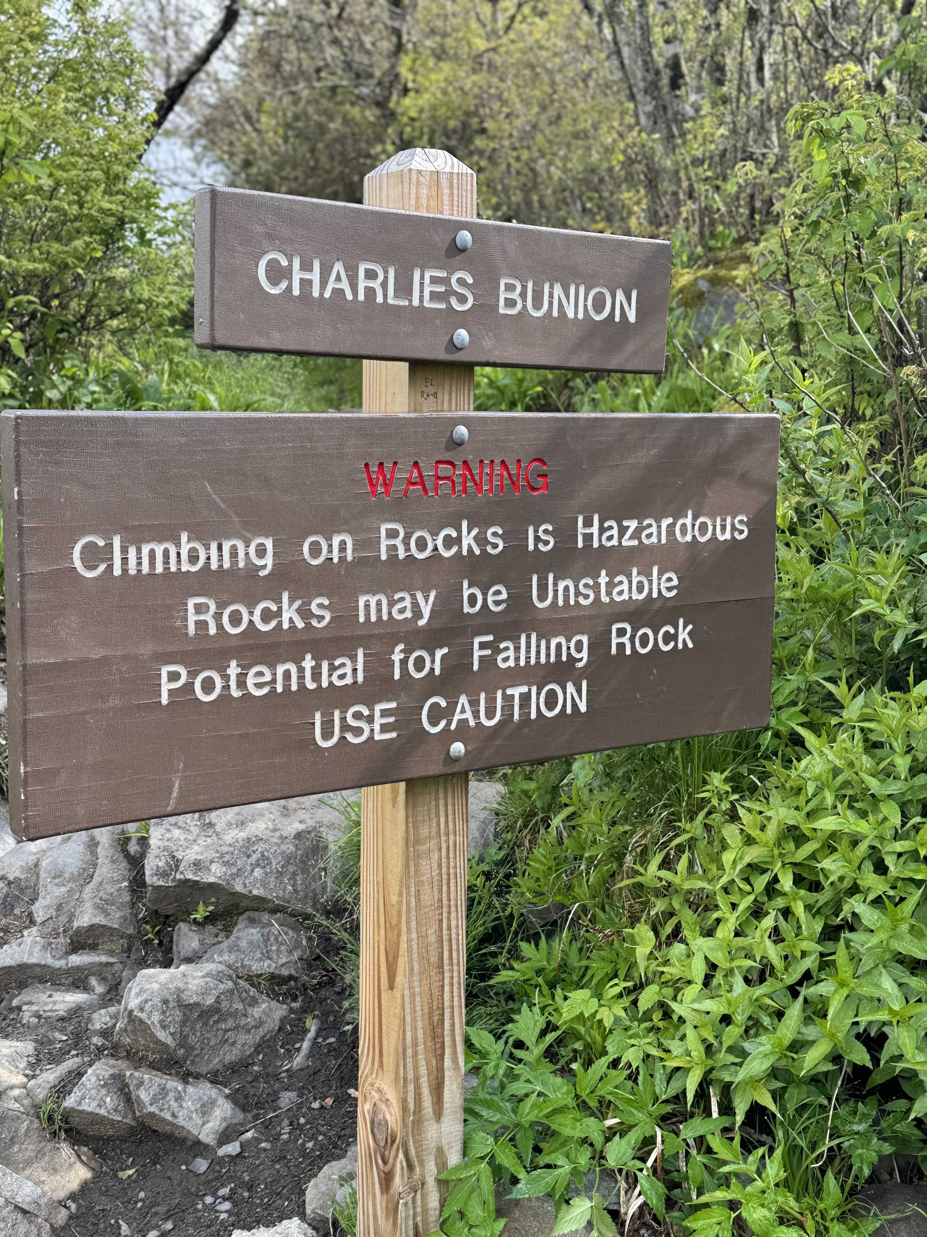 Day 28 – Icewater Spring Shelter to Tri-Corner Knob Shelter 