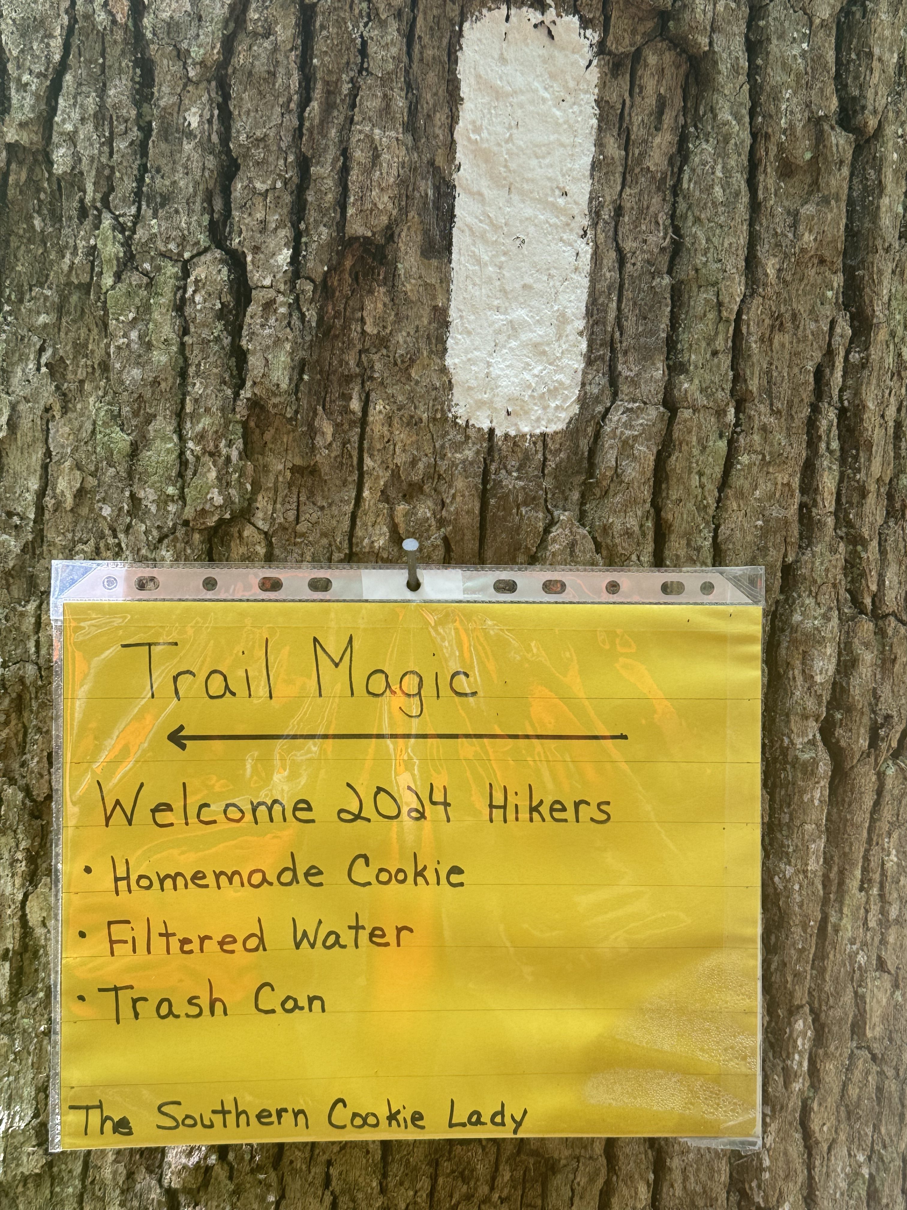 Day 35 – Spring Mountain Shelter to Little Laurel Shelter 