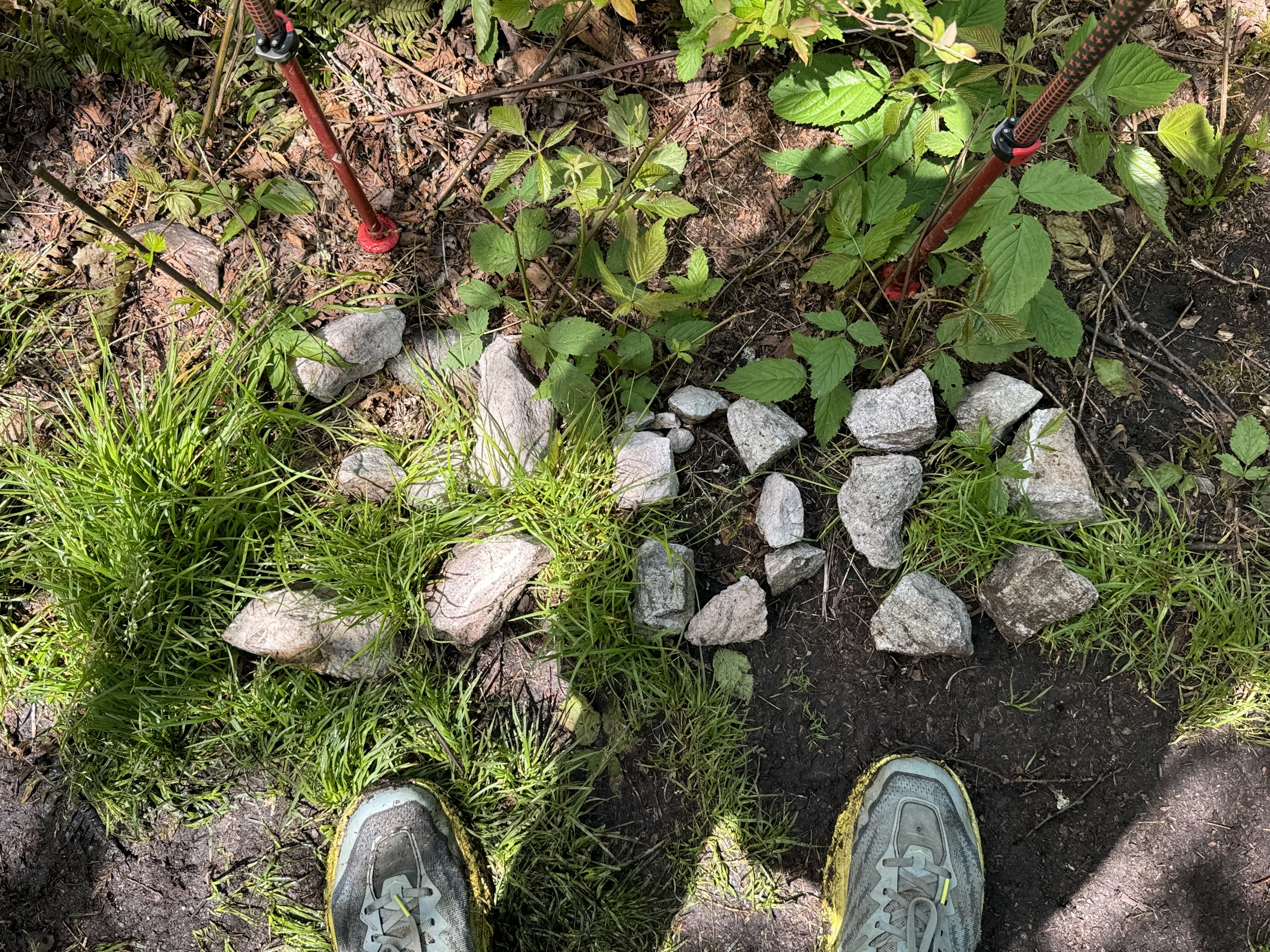 Day 36 – Little Laurel Shelter to Flint Mountain Shelter