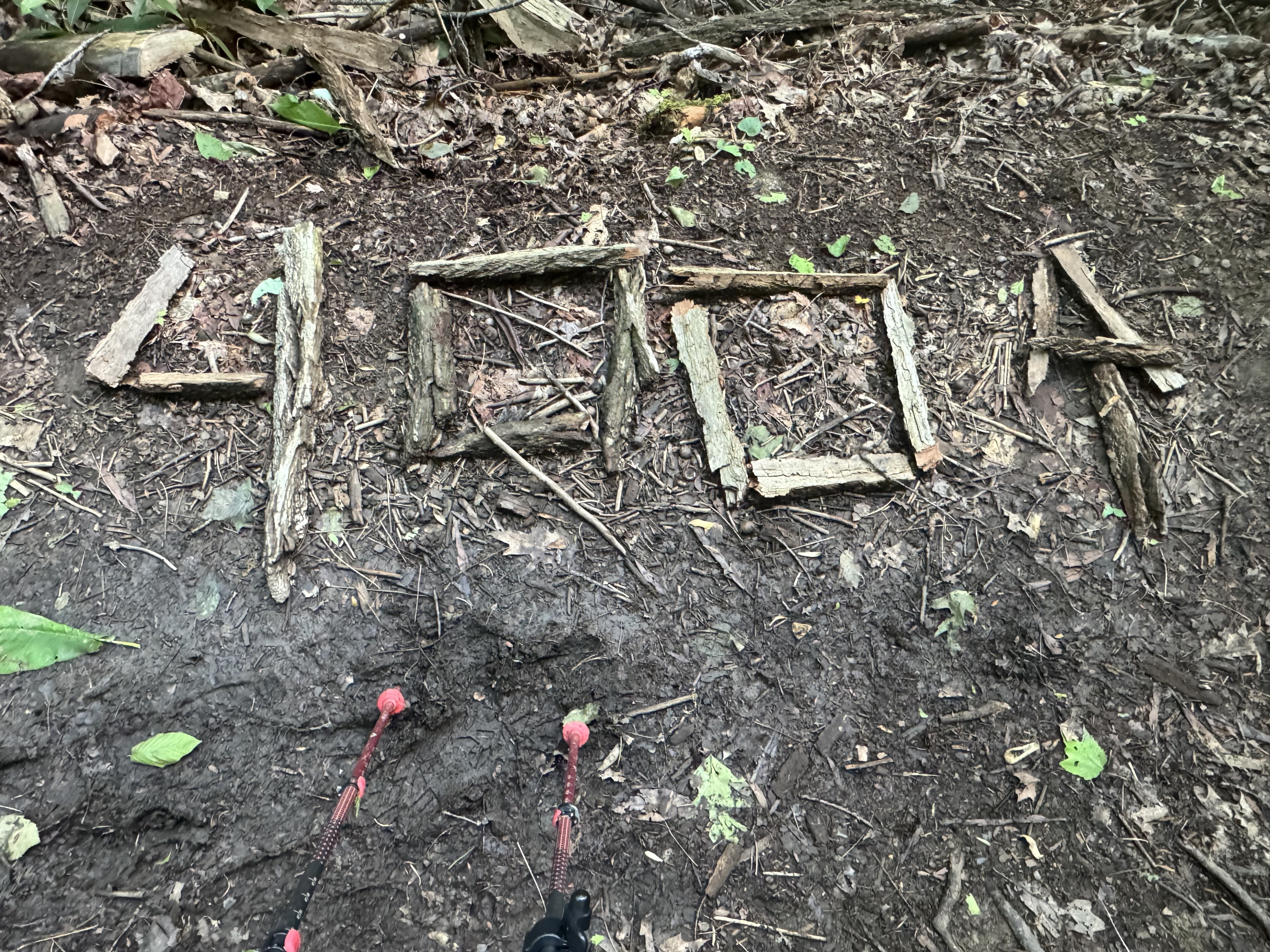 Day 45 – Mountain Harbour to Moreland Gap Shelter