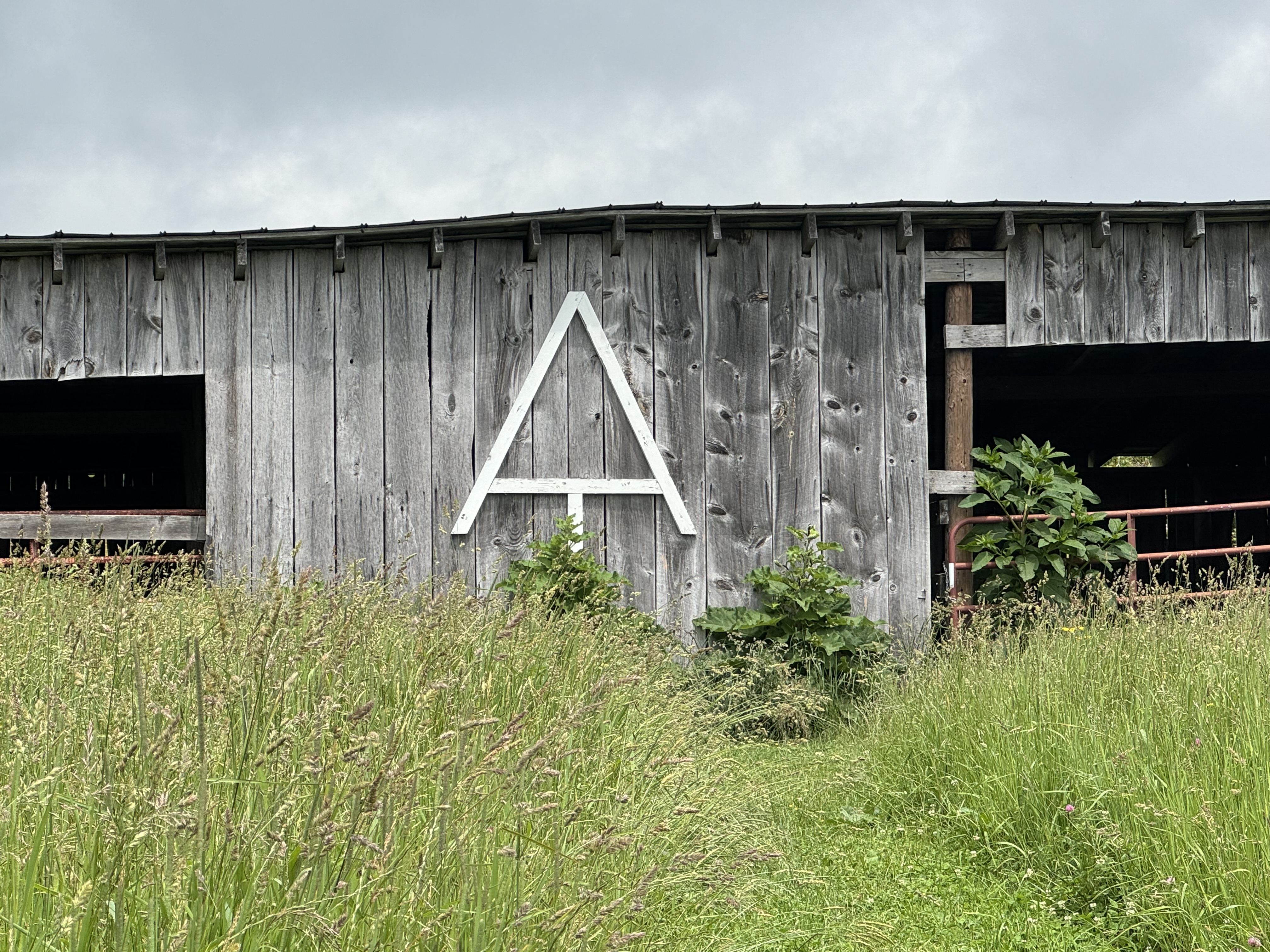 Day 51 – Iron Mountain Shelter to Abingdon Gap Shelter