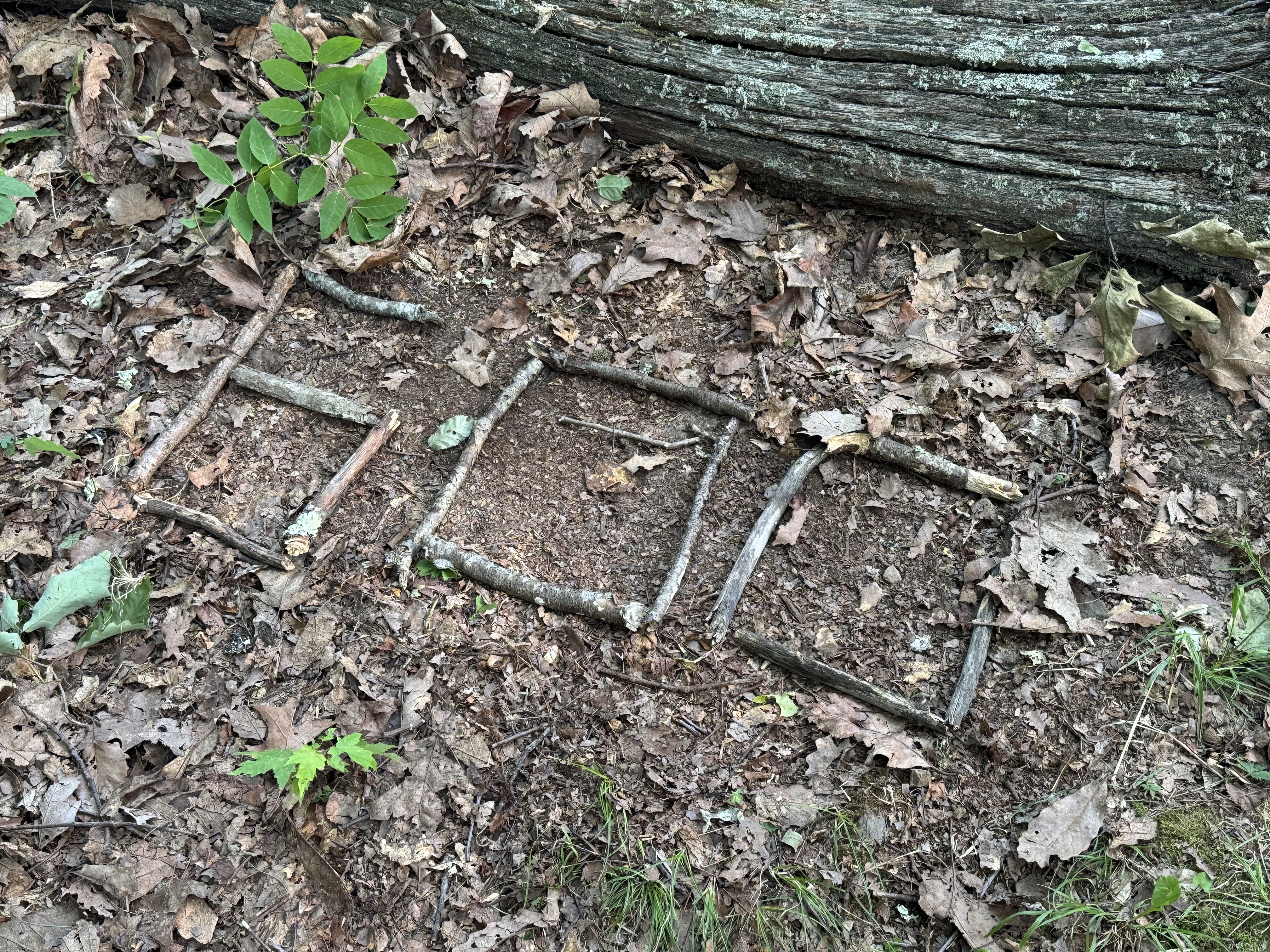 Day 60 – Tent Site at Mile 599.3 to Dismal Creek