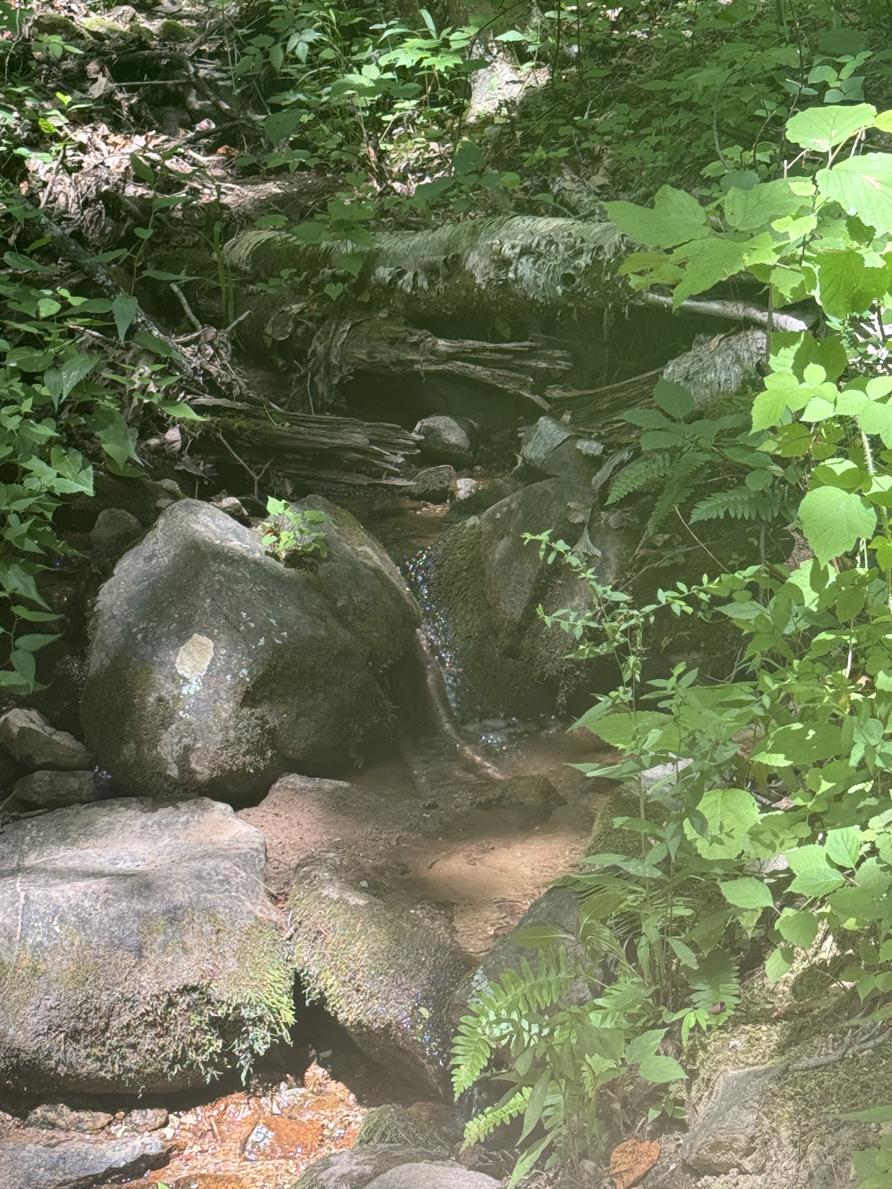 Day 74 – US 60 Long Mountain Wayside to Glasgow, VA