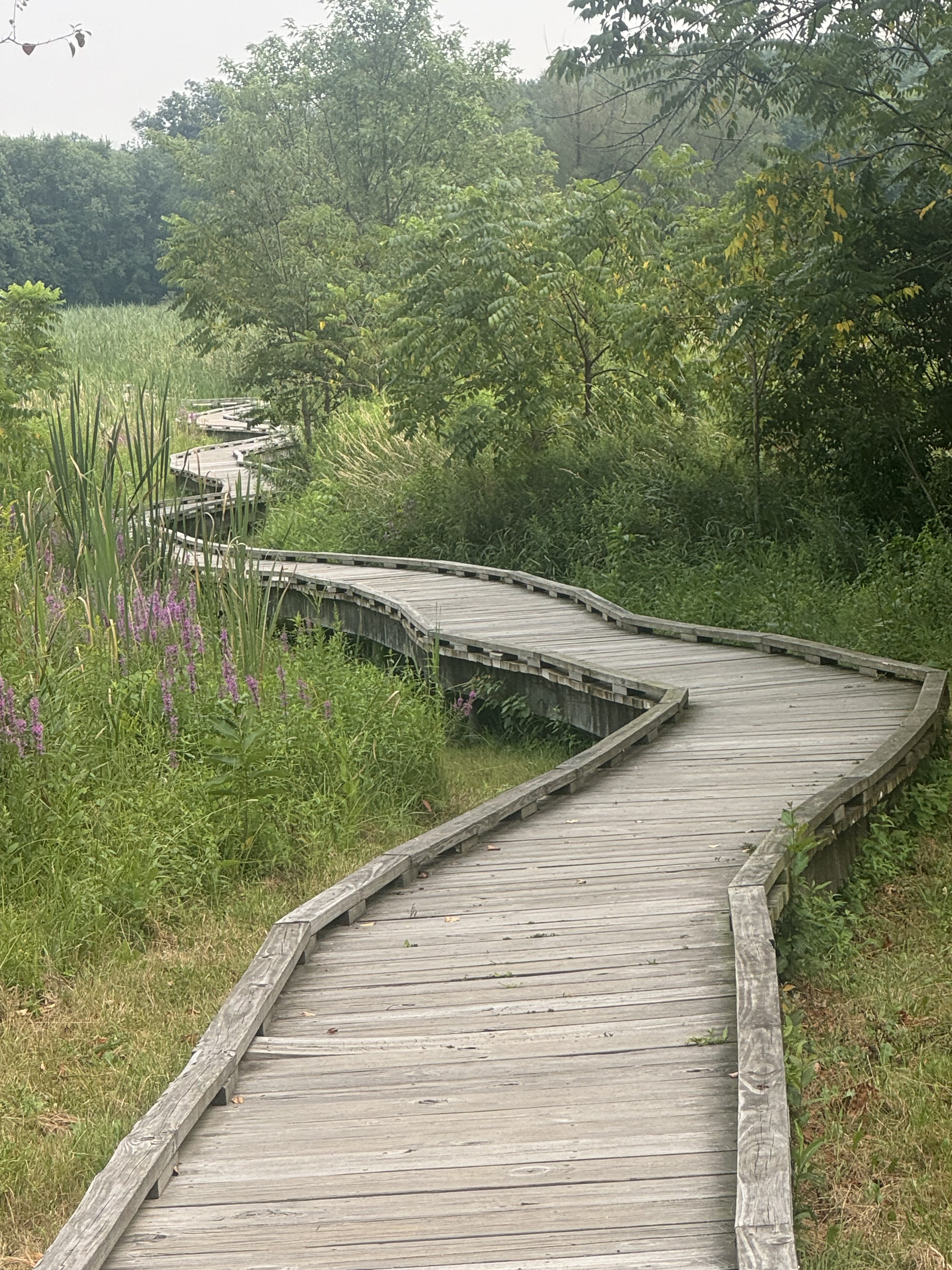 Day 111 – Unionville, NJ to NJ94