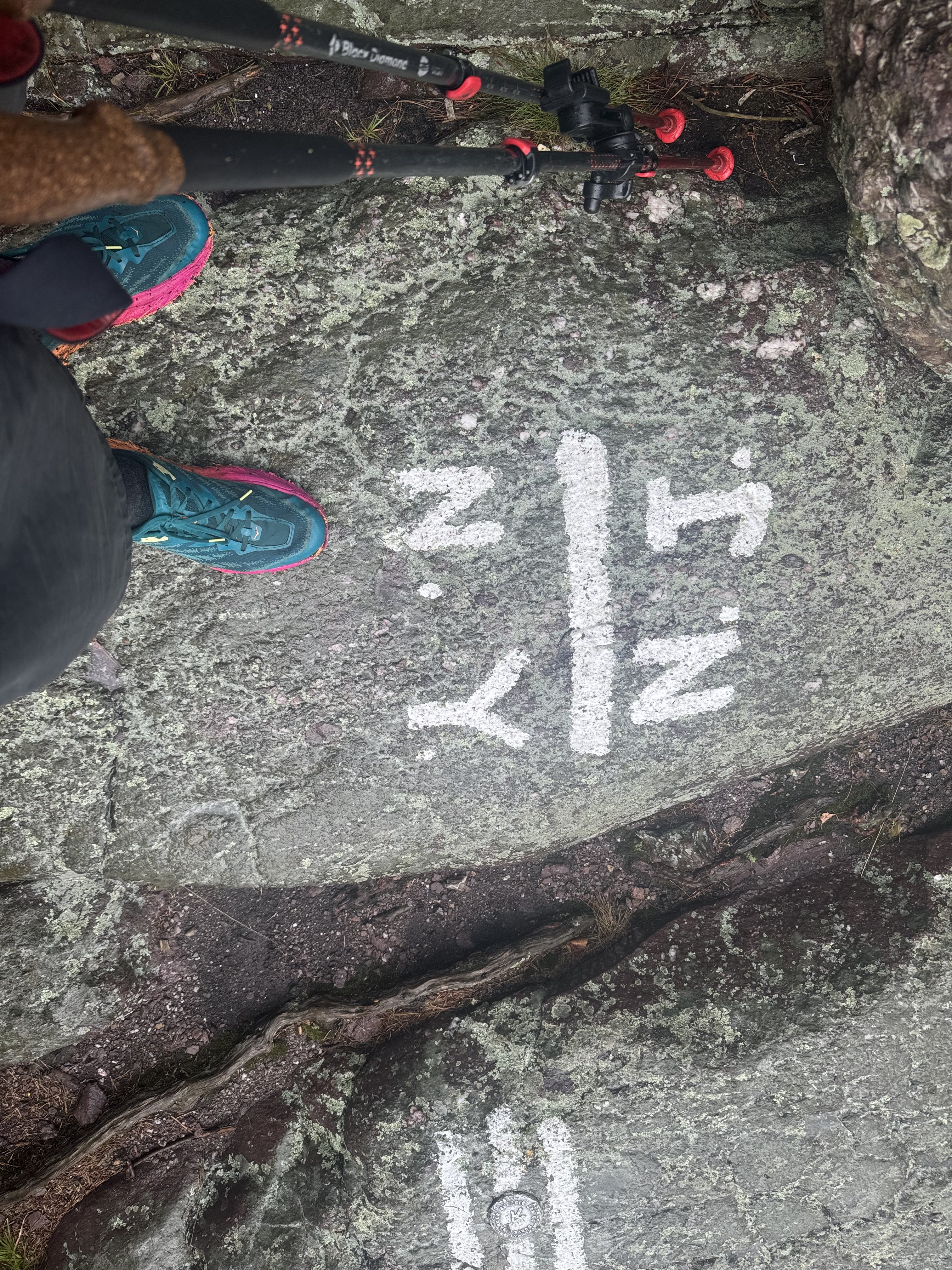 Day 112 – NJ94 to Lost n Found Hostel at NY RT 17A