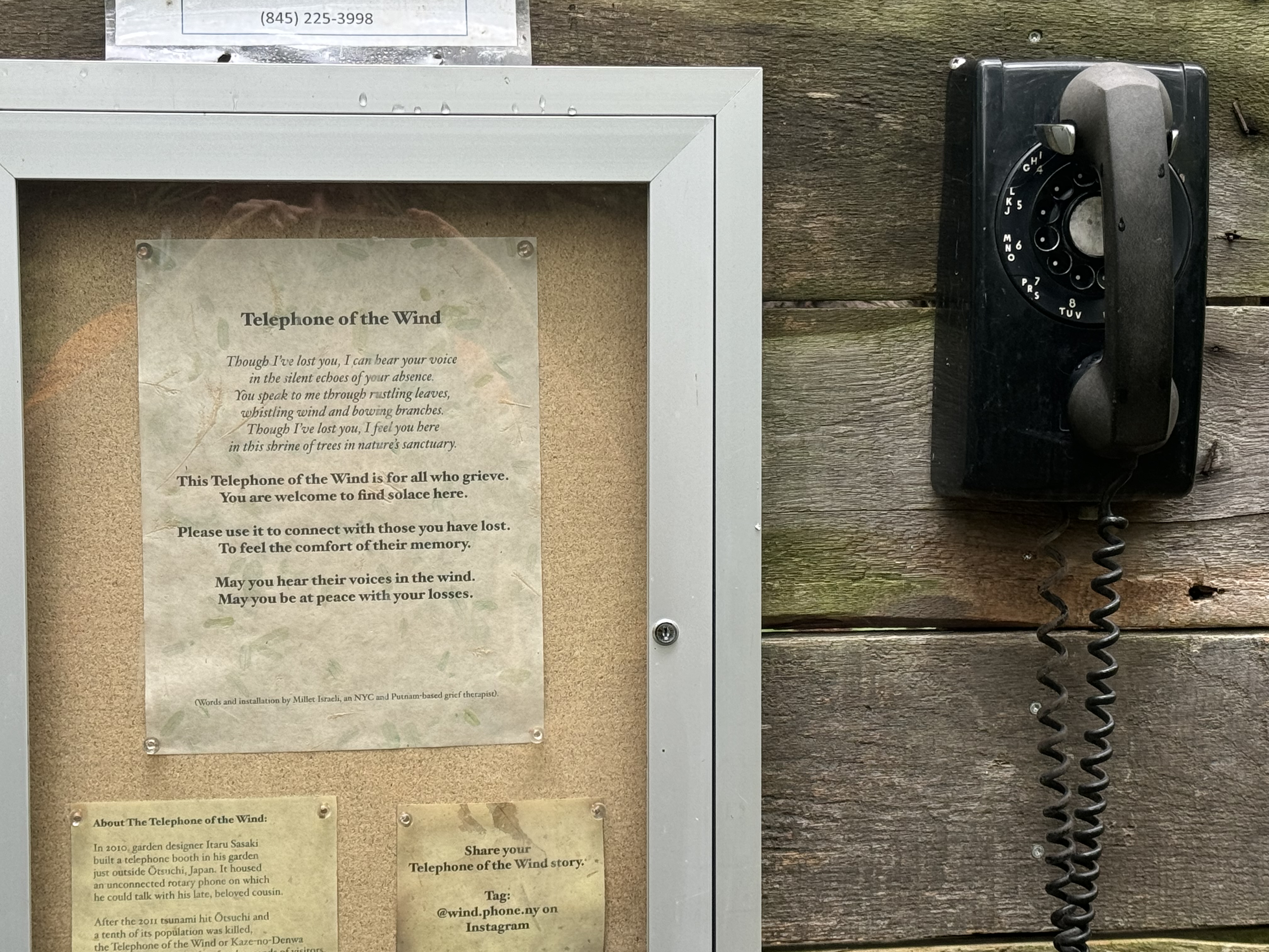 Day 117 – Dennytown Road to Canopus Beach Park