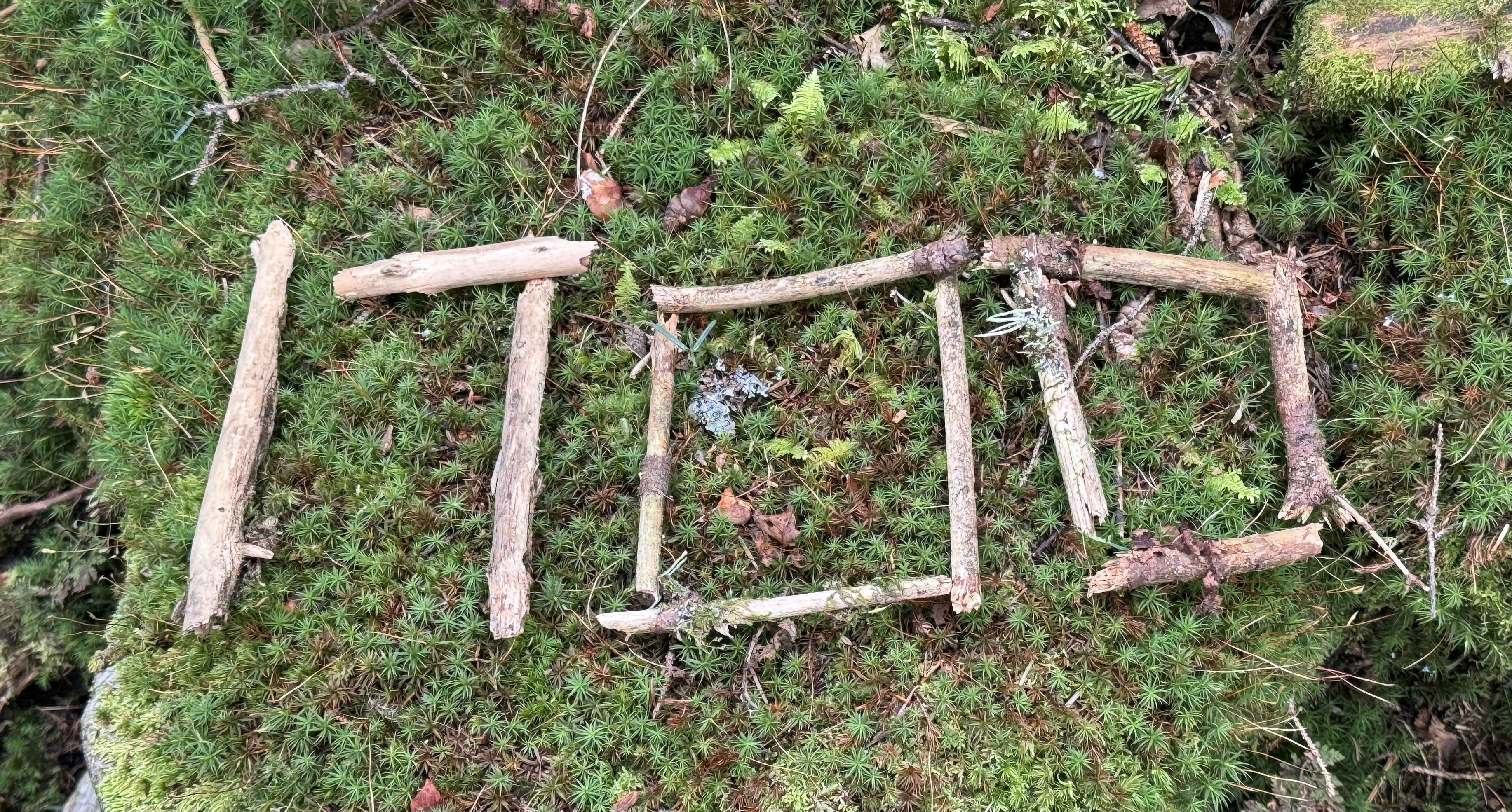 Day 136 – Cold River Road to Inn at Long Trail