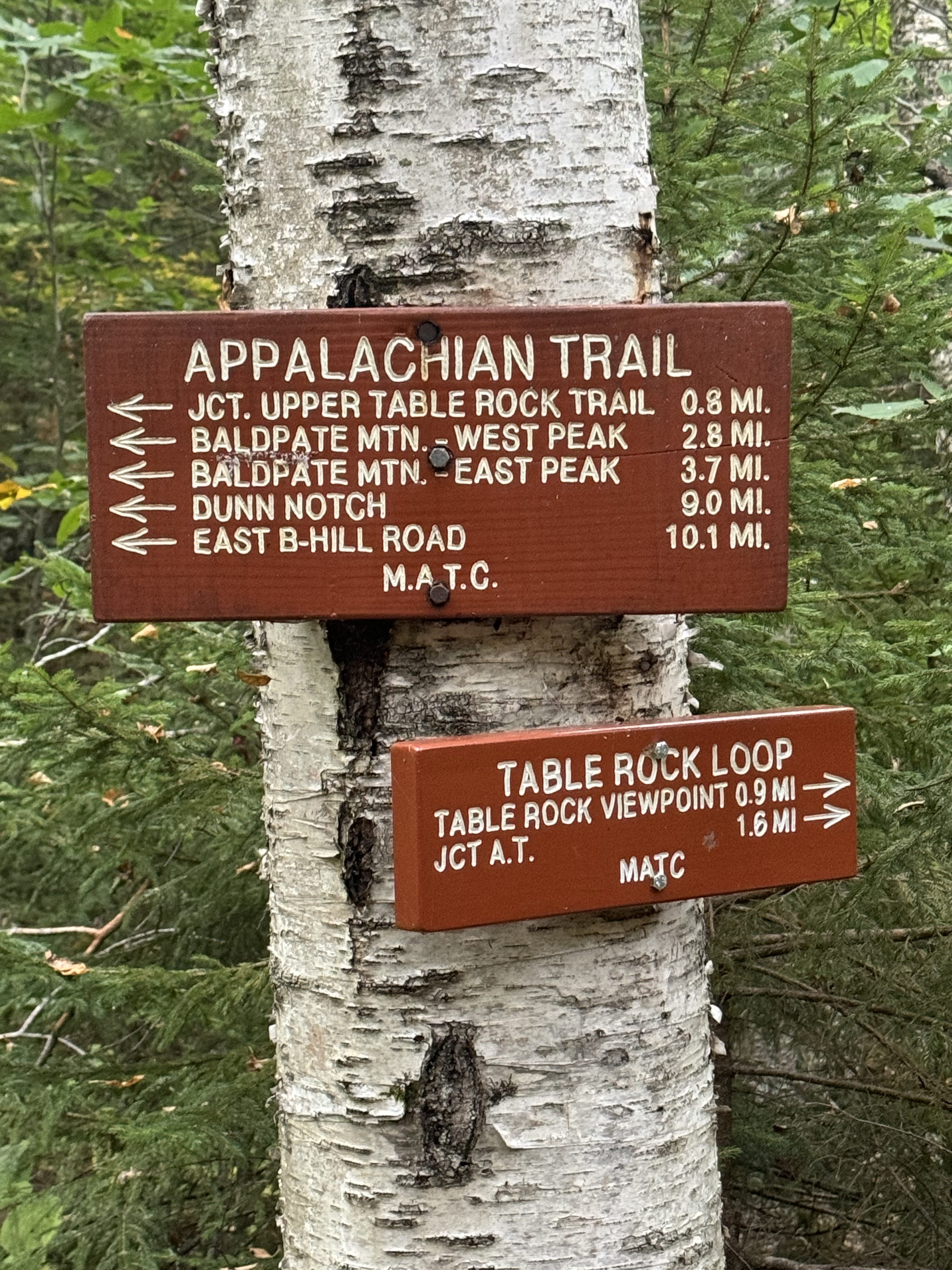 Day 160 – Grafton Notch to East B Hill Rd