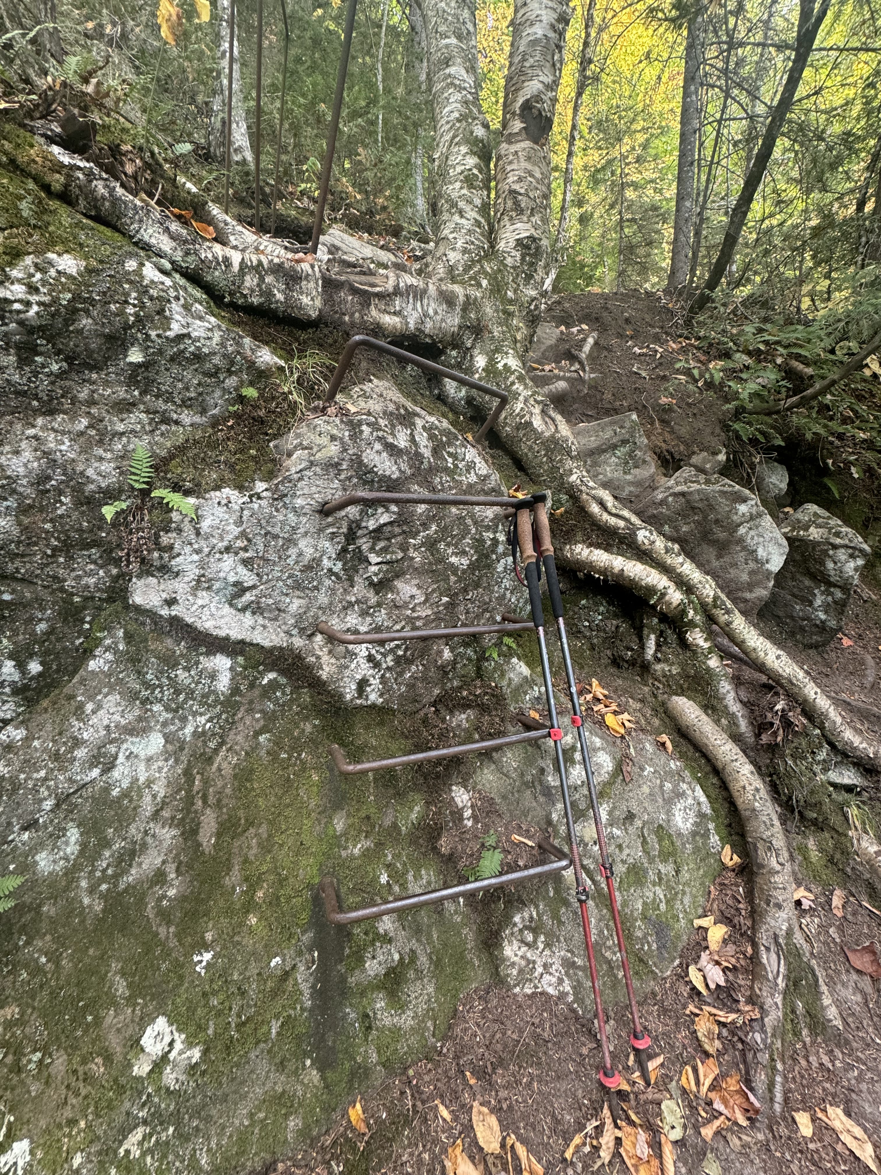 Day 161 – East B Hill Rd to South Arm Rd