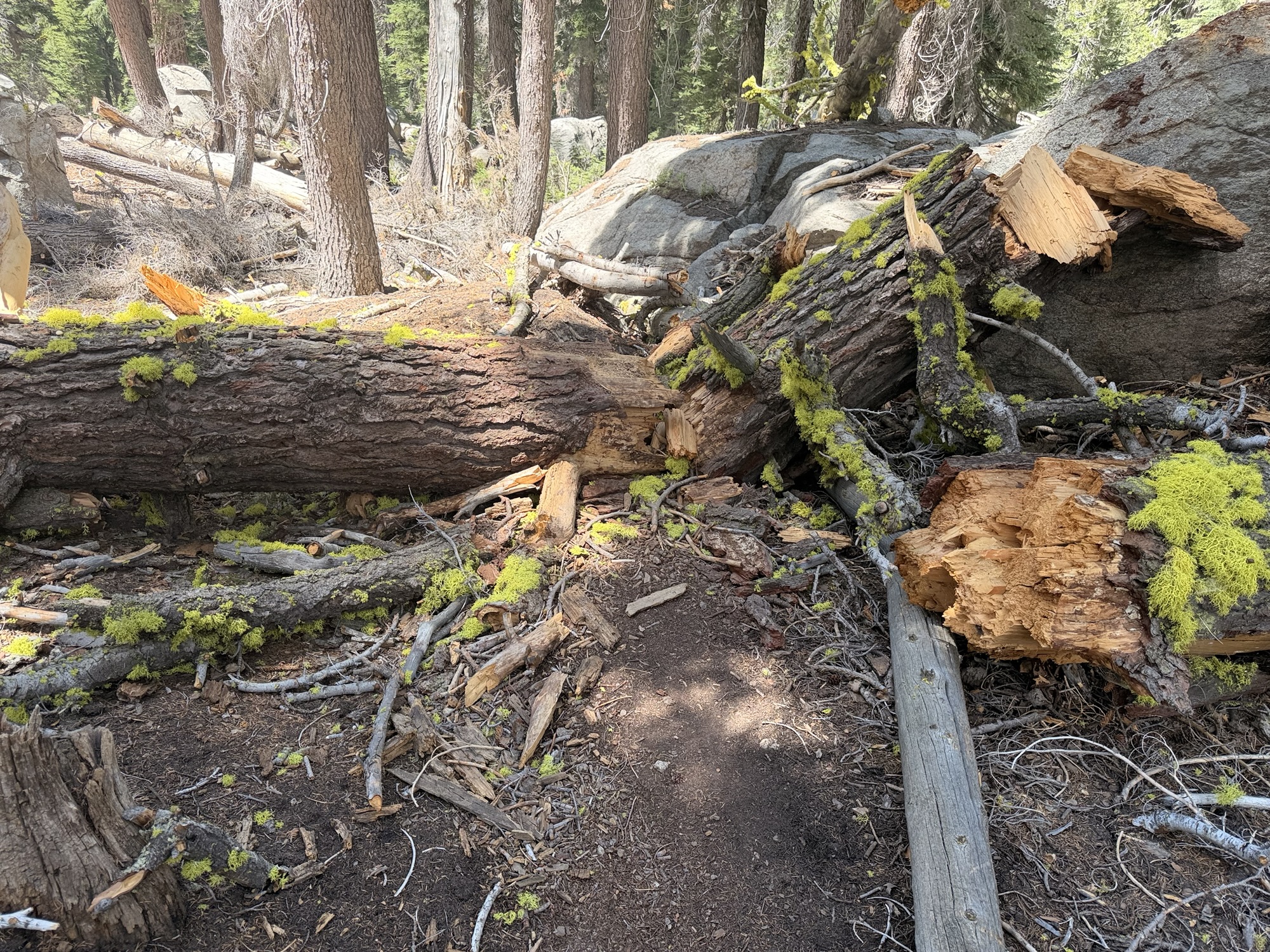 Day 72 – Mile 976.7 to Mile 994.5