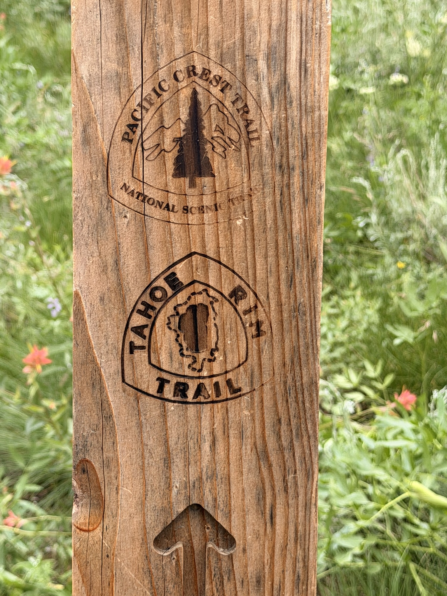 Day 81 – Mile 1093.4 to Mile 1106.3